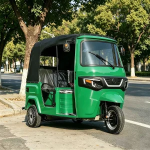 TR-1047967638723 Passenger Tricycle export product image — view 4