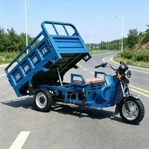 TR-1048018122086 Cargo Tricycle export product image