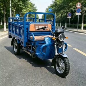 TR-1048018122086 Cargo Tricycle export product image — view 2