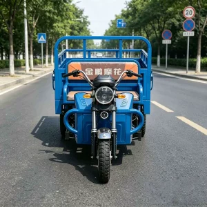 TR-1048018122086 Cargo Tricycle export product image — view 3