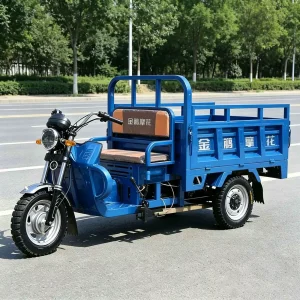 TR-1048018122086 Cargo Tricycle export product image — view 4