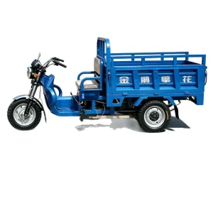TR-1048018122086 Cargo Tricycle export product image — view 5