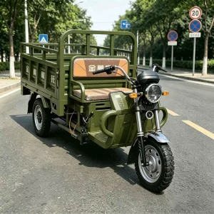 TR-1048138606569 Cargo Tricycle export product image