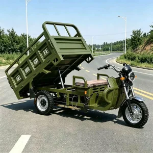 TR-1048138606569 Cargo Tricycle export product image — view 2
