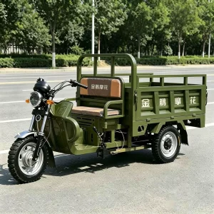 TR-1048138606569 Cargo Tricycle export product image — view 3