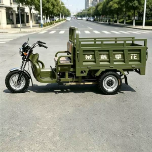 TR-1048138606569 Cargo Tricycle export product image — view 4