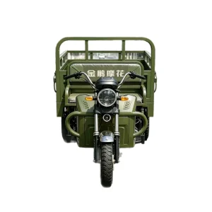 TR-1048138606569 Cargo Tricycle export product image — view 5