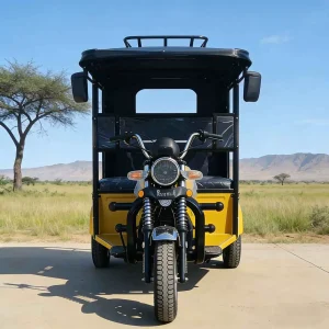 TR-1048203261610 Passenger Tricycle export product image — view 2
