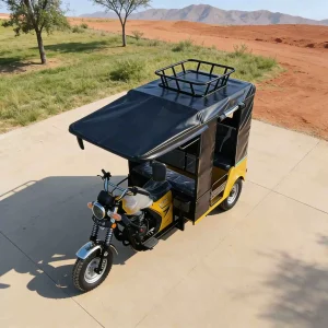 TR-1048203261610 Passenger Tricycle export product image — view 3