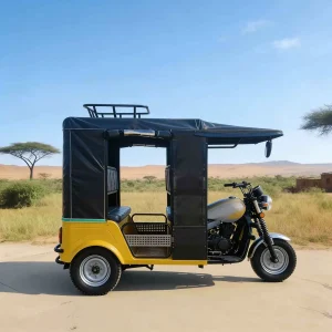 TR-1048203261610 Passenger Tricycle export product image — view 4