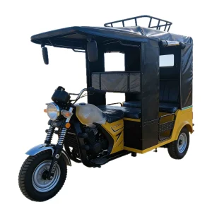 TR-1048203261610 Passenger Tricycle export product image — view 5