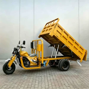 TR-1048208162477 Cargo Tricycle export product image — view 2