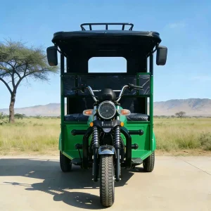 TR-1048229401389 Passenger Tricycle export product image