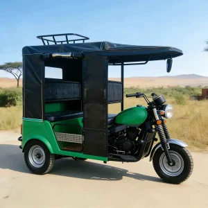 TR-1048229401389 Passenger Tricycle export product image — view 3