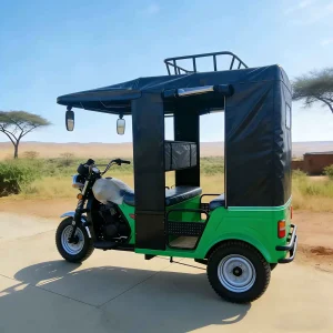 TR-1048229401389 Passenger Tricycle export product image — view 4