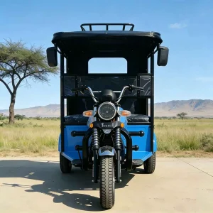 TR-1048243701340 Passenger Tricycle export product image