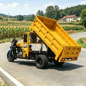 TR-1048254151133 Cargo Tricycle export product image