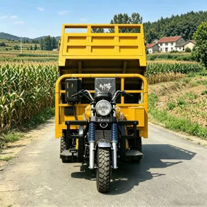 TR-1048254151133 Cargo Tricycle export product image — view 2