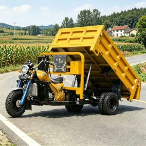 TR-1048254151133 Cargo Tricycle export product image — view 3