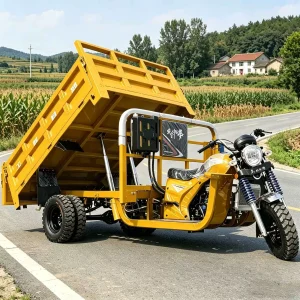 TR-1048254151133 Cargo Tricycle export product image — view 4
