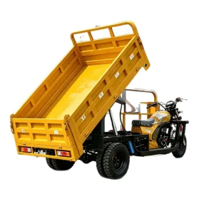 TR-1048254151133 Cargo Tricycle export product image — view 5