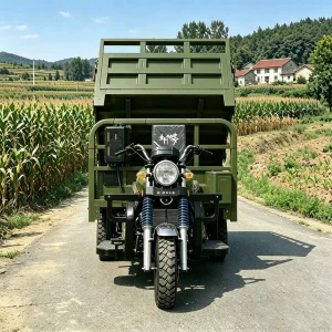 TR-1048260471033 Cargo Tricycle export product image