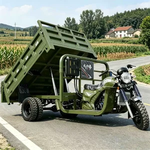 TR-1048260471033 Cargo Tricycle export product image — view 2