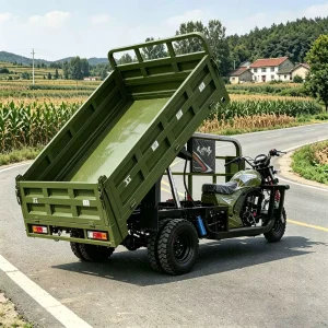 TR-1048260471033 Cargo Tricycle export product image — view 3