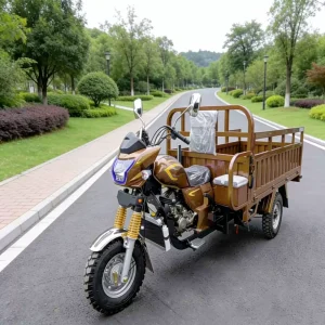 TR-1048404345846 Cargo Tricycle export product image — view 2