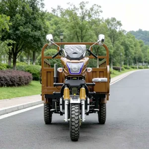TR-1048404345846 Cargo Tricycle export product image — view 3