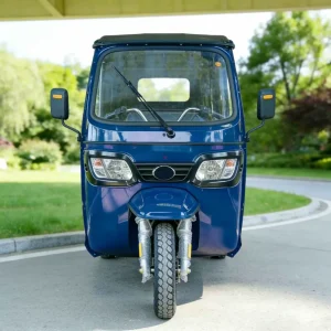 TR-1048439738330 Passenger Tricycle export product image