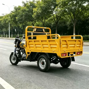 TR-1048609617411 Cargo Tricycle export product image