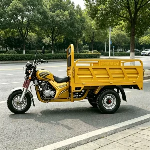TR-1048609617411 Cargo Tricycle export product image — view 2