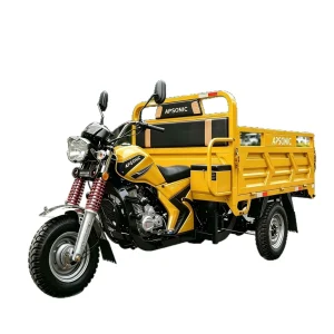 TR-1048609617411 Cargo Tricycle export product image — view 5