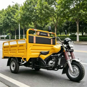 TR-1048617273021 Passenger Tricycle export product image
