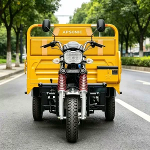 TR-1048617273021 Passenger Tricycle export product image — view 4