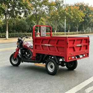 TR-1048617823457 Passenger Tricycle export product image — view 3