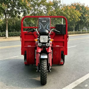 TR-1048617823457 Passenger Tricycle export product image — view 4