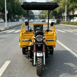 TR-1048709506659 Cargo Tricycle export product image