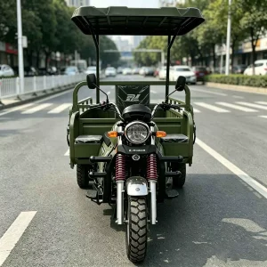 TR-1048768922473 Cargo Tricycle export product image — view 4
