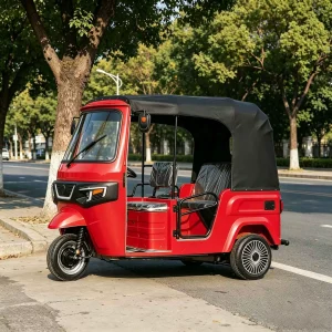 TR-1048815309012 Passenger Tricycle export product image — view 3