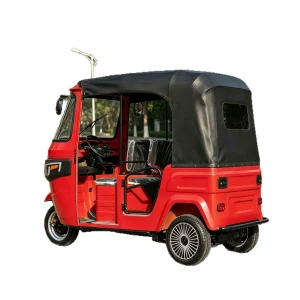 TR-1048815309012 Passenger Tricycle export product image — view 5