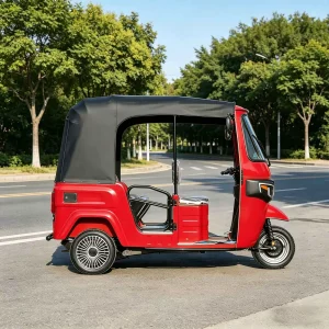 TR-1048815309170 Passenger Tricycle export product image — view 2