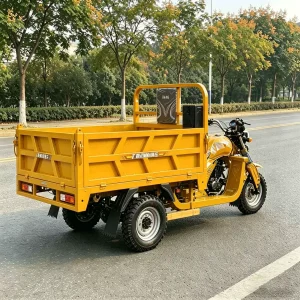 TR-1048986135435 Cargo Tricycle export product image — view 3