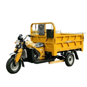 TR-1048986135435 Cargo Tricycle export product image — view 5