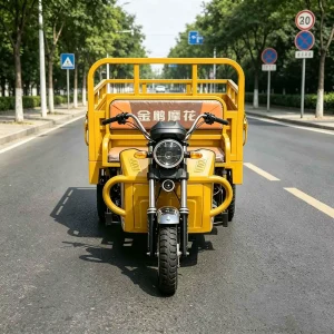 TR-1049078193593 Cargo Tricycle export product image