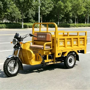 TR-1049078193593 Cargo Tricycle export product image — view 2