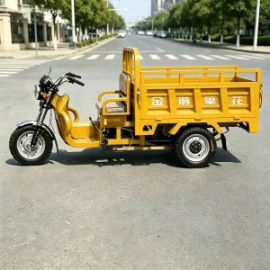 TR-1049078193593 Cargo Tricycle export product image — view 3