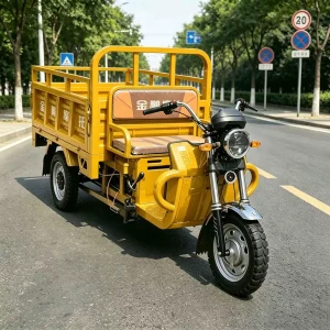 TR-1049078193593 Cargo Tricycle export product image — view 4