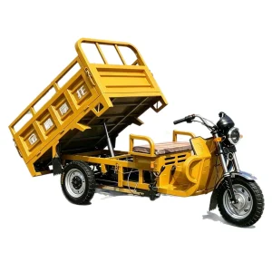 TR-1049078193593 Cargo Tricycle export product image — view 5